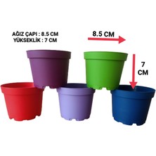 Tuğel Flowers 15 Adet Plastik 5 Renkli Çiçek Üretim Saksısı (8.5 Cm.lik) Alt Tabaksız