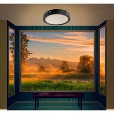 Cata 30W Yuvarlak Sıva Üstü LED Armatür Siyah Kasa Beyaz Işık CT-5238