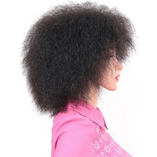 Guangdong Spirit Siyah Sentetik Peruk Yüksek Tature Fiber Sapıkça Kıvırcık Afro Peruk Kısa 6 Inç Kabarık Rulo Peruk Afrika Peruk Tarzı Genişletmek Için Salon  (Yurt Dışından)