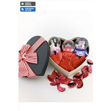 Home Dekor Hediye Sevgililer Gününe Özel Kalp Kutuda Kar Küreleri Hediye Seti Sevgiliye Şık Hediye