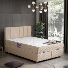 Setay Tetra İkili Set Çift Kişilik Baza Başlık - Bej