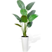 Nettenevime Yapay Ağaç Areka Ağacı Beyaz Uzun Kumsal Vazoda Muz Ağacı Yapay Starliçe 195CM 10 Yaprak