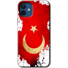 Bera Aksesuar iPhone 12 Mini Kılıf Baskılı Kapak - Türkiyem + 5d Tam Kaplayan Cam