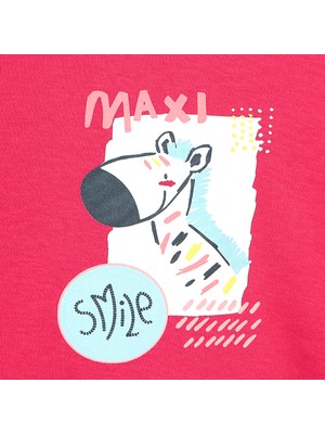 Hello Baby Hellobaby Basic Zebra Desenli Eşofman Takımı Kız Bebek Kız Bebek