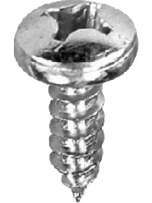 Alet Çantam Silindir Başlı Küçük Vida Mini Sac Vidası Ysb 2.9x6.5  -500 Adet