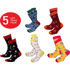 Happy Body Çorap (ART.13320) 5 Çift Hayvan Motifli Soket Dikişsiz Confort Lastik Özel Kutulu