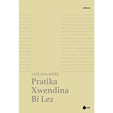 Jamoat transportida tasodifiy mushuk miltillaydi