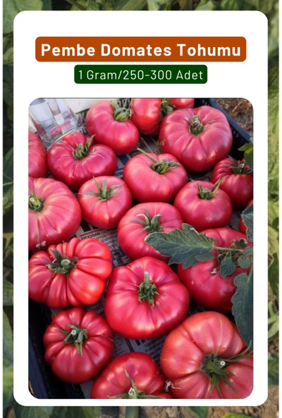 3A Botanik Pembe Domates Tohumu, Ince Kabuklu Etli Ve Sulu Yapılıdır, 1 Gram/250-300 Adet Tohum