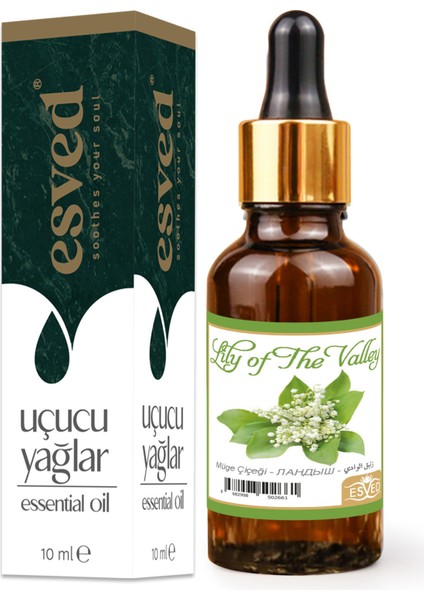 Müge Çiçeği Kokusu Saf Esansiyel Uçucu Yağ Buhurdanlık Yağı Difüzör Esansı Aromaterapi Ortam Koku 10ML