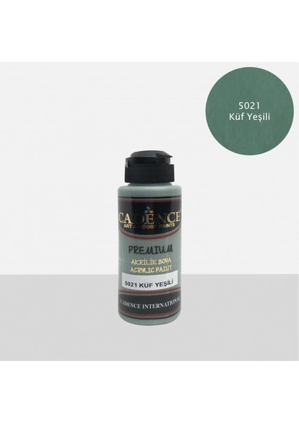 Premium Boya Küf Yeşili 120ML N:5021