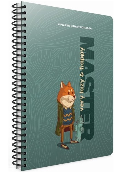 Master Defter Çizgili 120 Yaprak 17X24 Spiralli