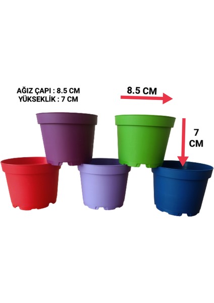 15 Adet Plastik 5 Renkli Çiçek Üretim Saksısı (8.5 Cm.lik) Alt Tabaksız