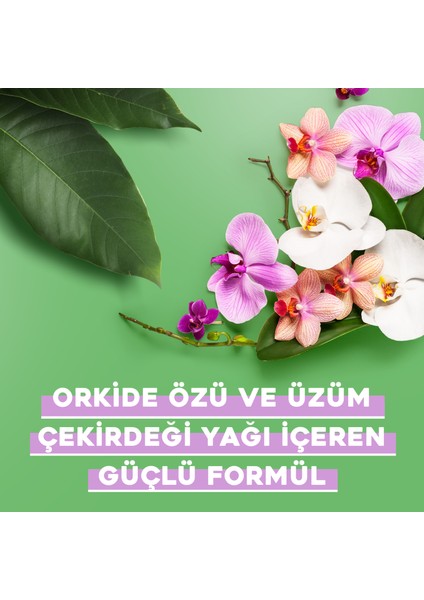 OGX Renk Koruyucu Orchid Oil Sülfatsız Saç Bakım Kremi 385 ml