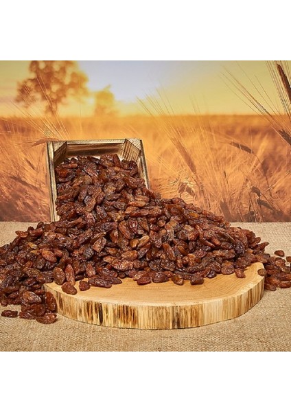 Besni Sarı Kuru Üzüm 500 gr fiyatları