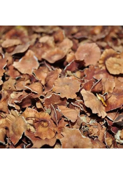 Çarkıfelek Otu 100 gr