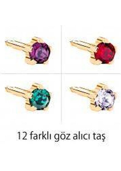 Gold Assorted Birthstars (080)12LI Küpe