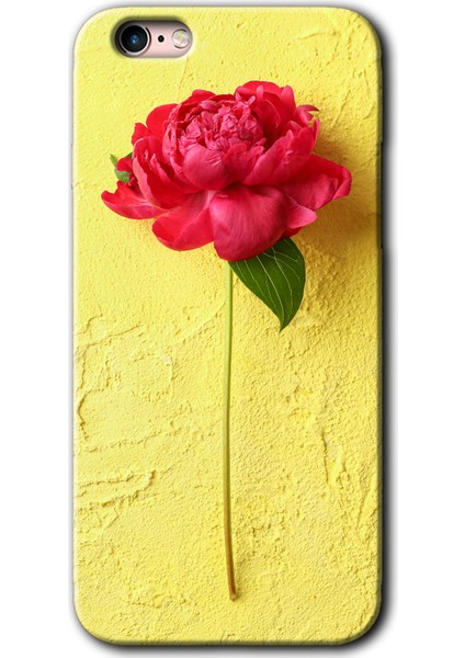 Apple iPhone 6s Plus Kılıf Hd Desen Baskılı Arka Kapak + Mat Kobra Cam - Kırmızı Gül