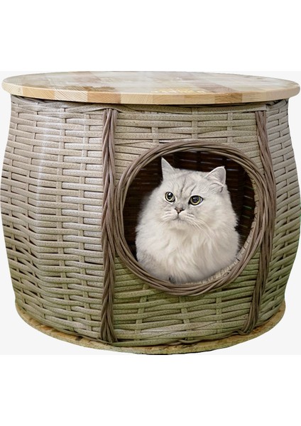Rattan Kedi Evi