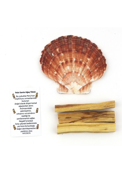 Mie Box Palo Santo Maximus Wish Kit: 3 Palo Santo Tütsü (28 gr)  - Pecten Maximus Deniz Kabuğu