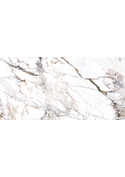 60X120 Marble-X Fon Beyaz Parlak Porselen Karo K949808FLPR1VTSP (1 M2 )