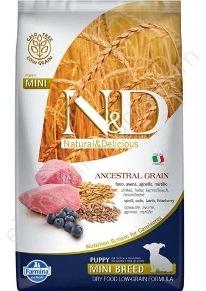 Ancestral Grain Mini Puppy Düşük Tahıllı Kuzulu ve Yaban Mersinli Yavru Köpek Mama 2,5 kg