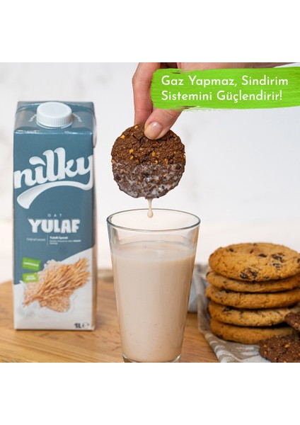 Laktozsuz Glutensiz Vegan Yulaf Sütü 1lt X12 indirimleri