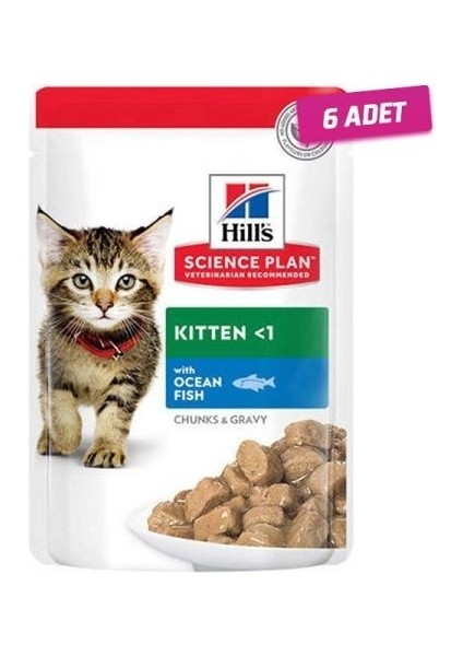 6 Adet - Hill's Kitten Okyanus Balıklı Pouch Yavru Kedi Konservesi 85 gr