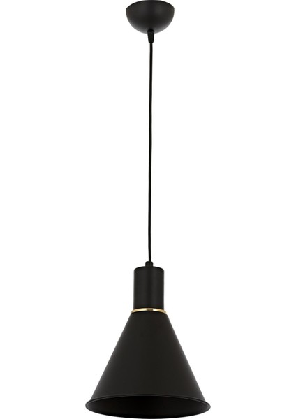 Avonnı AV-4106-M22-BSY Siyah Boyalı Modern Avize E27 Metal 20CM