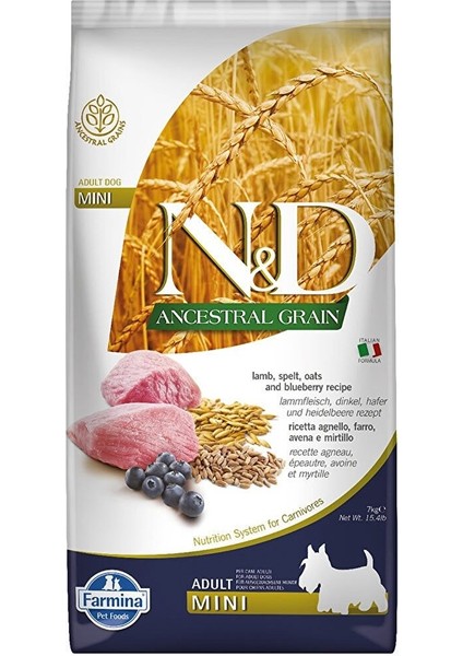Nd Ancestral Grain Düşük Tahıllı Kuzu Etli ve Yaban Mersinli Mini Irk Yetişkin Köpek Maması 7 kg