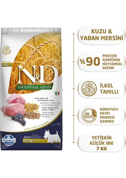 Nd Ancestral Grain Düşük Tahıllı Kuzu Etli ve Yaban Mersinli Mini Irk Yetişkin Köpek Maması 7 kg fiyatları