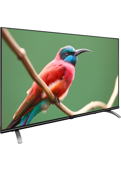 A40 C 685 A  40" 102 Ekran Uydu Alıcılı 4K Ultra HD Android Smart LED TV