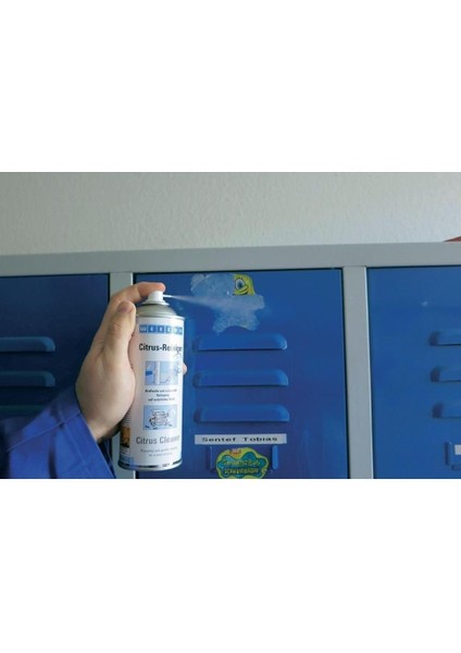 Citrus Temizleyici Sprey - 400 ml