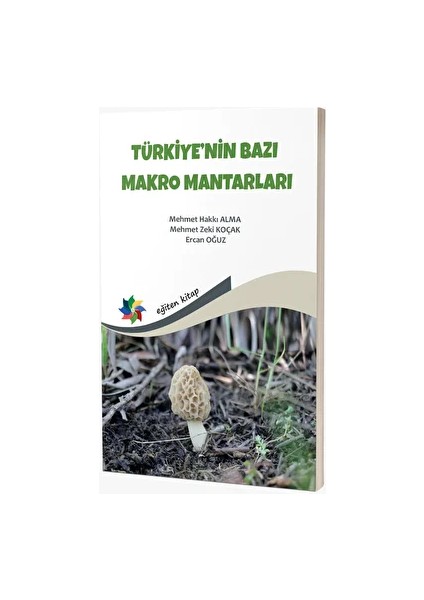 Türkiye'nin Bazı Makro Mantarları