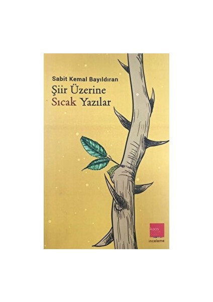 Şiir Üzerine Sıcak Yazılar