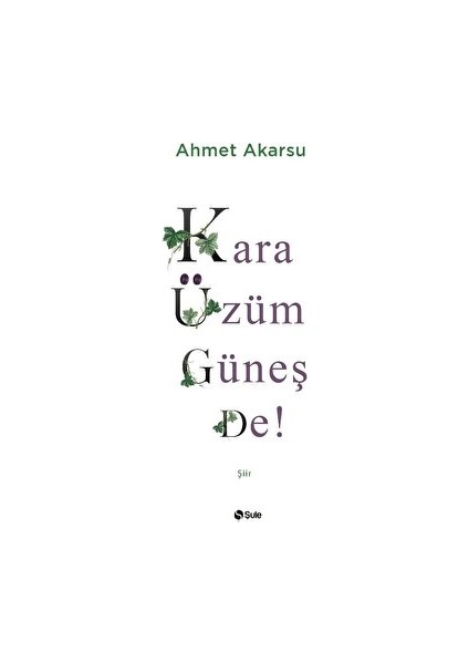 Kara Üzüm Güneş De