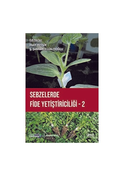 Sebzelerde Fide Yetiştiriciliği 2
