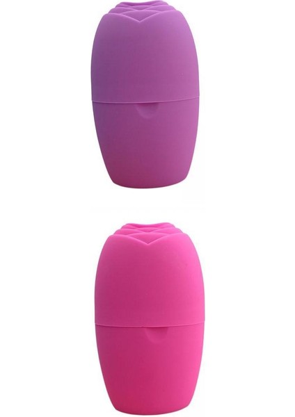 2'li Buz Yüz Roller Taşınabilir S Silikon Büzülme Gözenek Burkulmaları (Yurt Dışından)