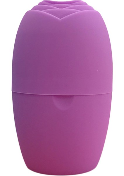 2'li Buz Yüz Roller Taşınabilir S Silikon Büzülme Gözenek Burkulmaları (Yurt Dışından) fiyatları