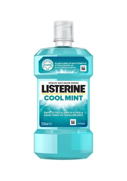 Cool Mint 250 ml
