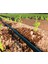 16MM Deliksiz Damla Sulama Borusu Hazır Set 400 Metre 2