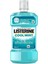 Cool Mint 250 ml 1