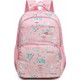  Renk Pembe
