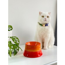 Seramik Kedi ve Köpek Mama Su Kabı Colorful Moon Bowl  (Turuncu-Sarı)