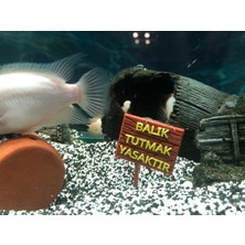 ATG Store Akvaryum Dekor - Balık Tutmak Yasaktır Yazısı