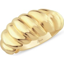 Lilarote Winkle Snail