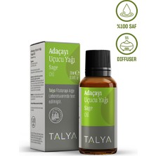 Talya Favori Yağlar Seti (Kekik - Jojoba - Adaçayı - Tatlı Badem - Çam Terebentin)