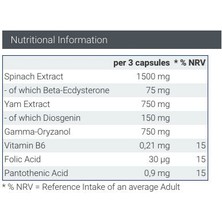 Weider Beta-Ecdysterone – Prohormon 150 Capsul