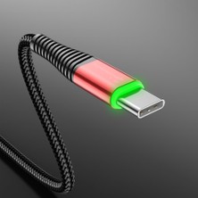 Landu USB C Tipi Kablo Şarj Cihazı 3A Qc3.0 Hızlı Şarj Mikro USB Telefon Ücreti (Yurt Dışından)