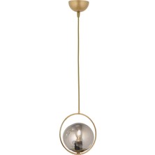 Lambadar Modern Füme Glop Camlı Daire Model Tekli Gold Sarkıt Avize