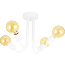 Lambadar Özel Tasarım Kıvrımlı Model Modern Avize